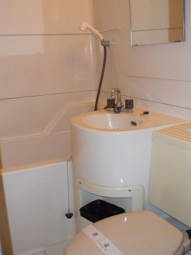 Bathroom 4, Hotel Yuzawa Yuzawa, Minamiuonuma