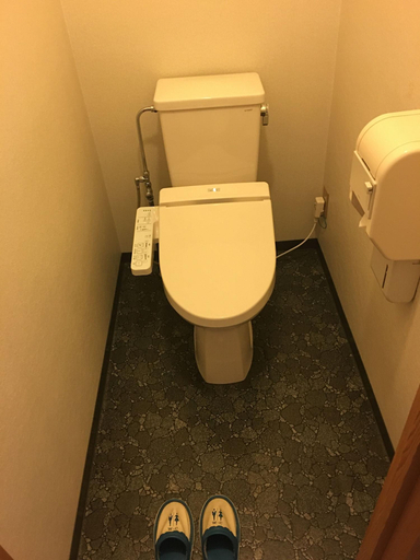 Bathroom 4, Hirayunomori Annex, Takayama