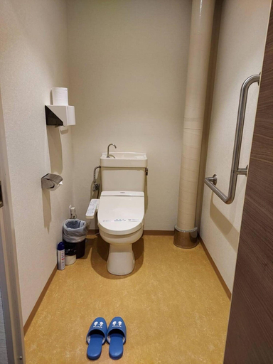 Bathroom 4, Iruka Onsen Hotel Seiryuusou, Kumano