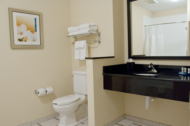 Bathroom 4, Fairfield Inn And Suites By Marriott Des Moines An, Polk