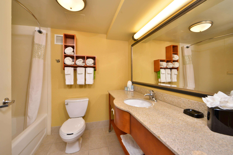 Bathroom 4, Hampton Inn Salisbury, Wicomico