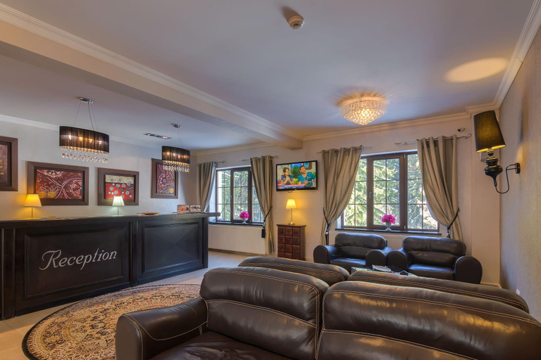 Public Area 4, Rizzo Boutique Hotel, Brasov