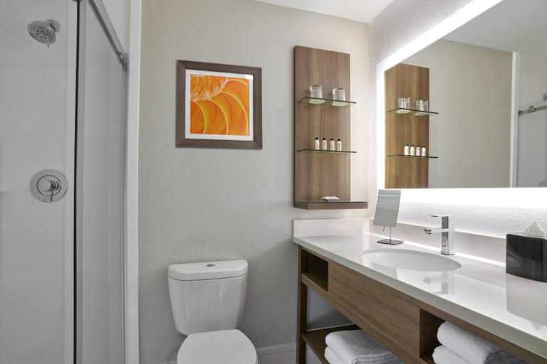 Bathroom 5, Delta Hotels By Marriott Chicago Willowbrook, Dupage