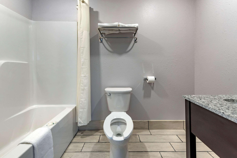 Bathroom, Spark by Hilton Evansville Downtown, Vanderburgh