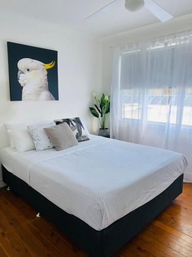 The White Picket Fence, Gold Coast
