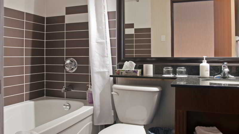 Bathroom 4, Coast Lethbridge Hotel & Conference Centre, Division No. 2