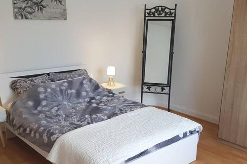 Chez Paul & Eleonore - meuble 3 etoiles - centre ville, Vosges