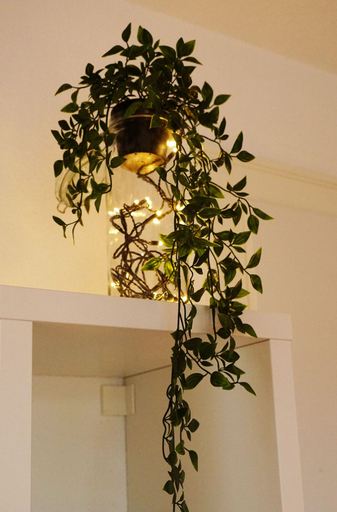 Public Area, Adventure Guesthouse, Interlaken