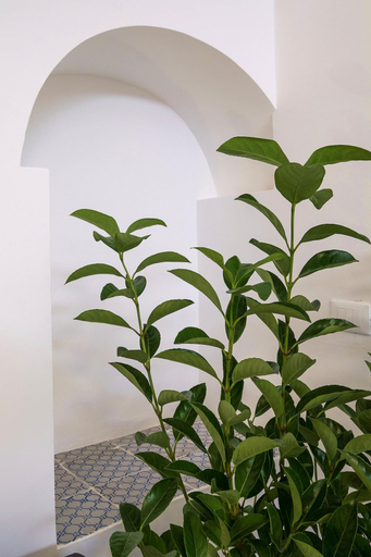 Public Area 2, B&B Cala Peppa, Palermo