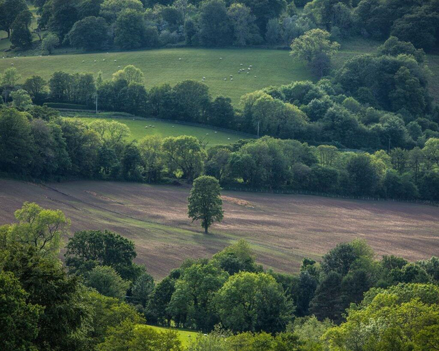 Exterior & Views, Hardwick Farm, Monmouthshire