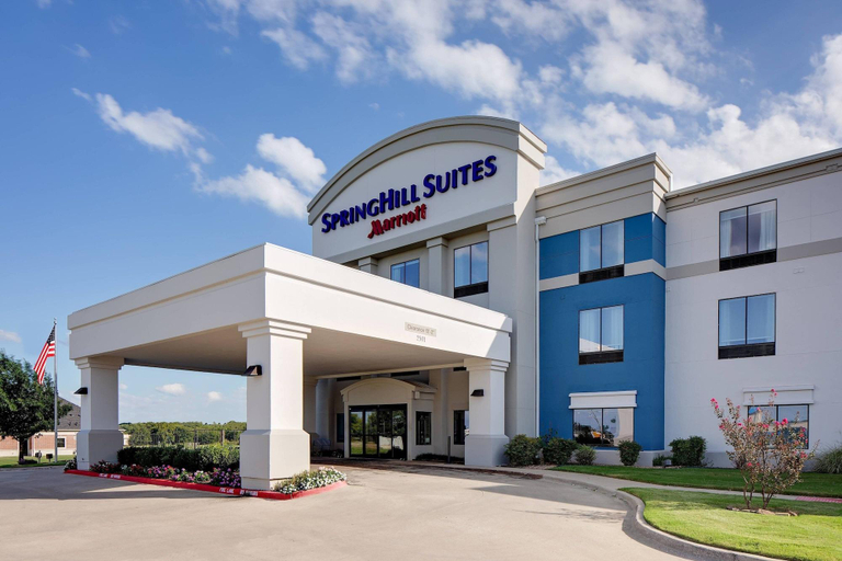Exterior & Views 4, Springhill Suites By Marriott Ardmore, Carter