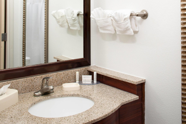 Bathroom 5, Springhill Suites By Marriott Ardmore, Carter