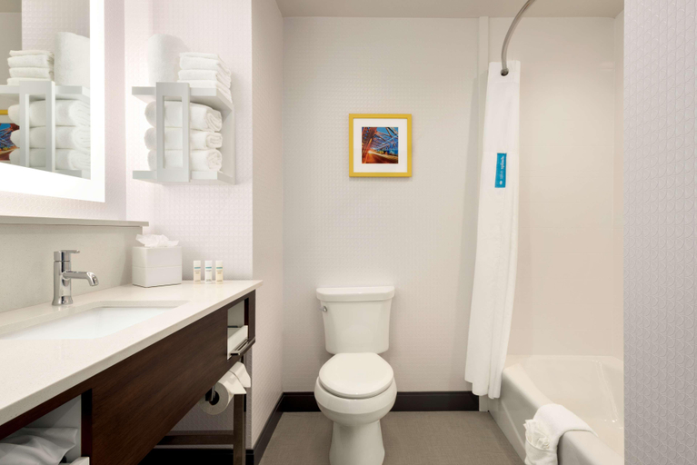 Bathroom 4, Hampton Inn & Suites Norman Conference Center Area, Cleveland