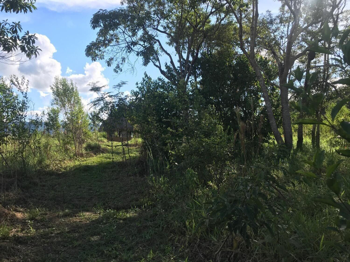 Exterior & Views 1, Ayahuaska, San Martín