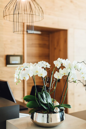 Public Area 4, Hotel Edita, Lindau (Bodensee)