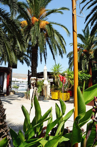 Exterior & Views 2, Domus Maritima, Trogir