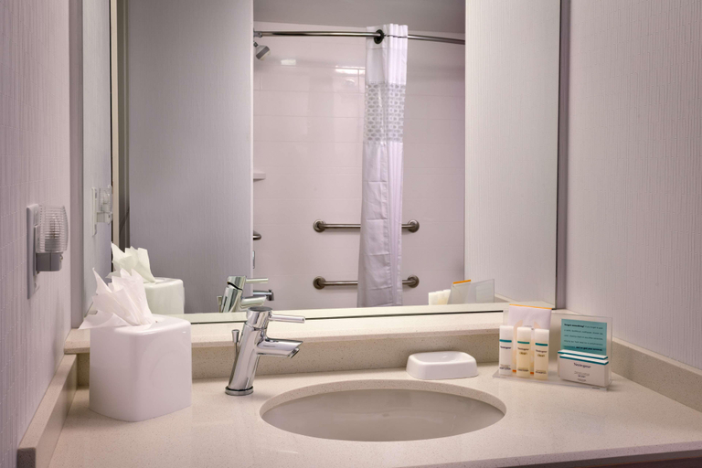 Bathroom 4, Hampton Inn Salt Lake City - Downtown, Salt Lake