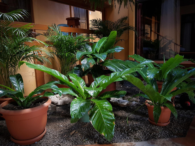 Public Area 3, Greemount Hotel, Puntarenas