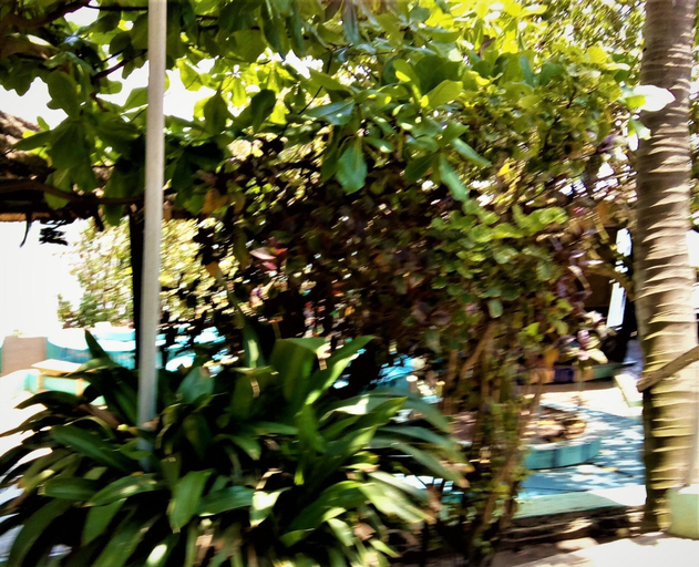 Exterior & Views, Rising Phoenix Magic Beach Resort, Accra