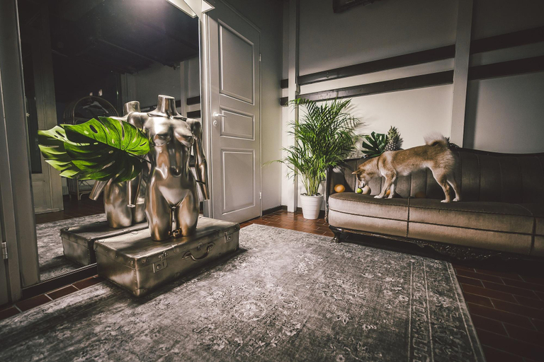 Public Area 3, Wherever Boutique Hostel, Lapland