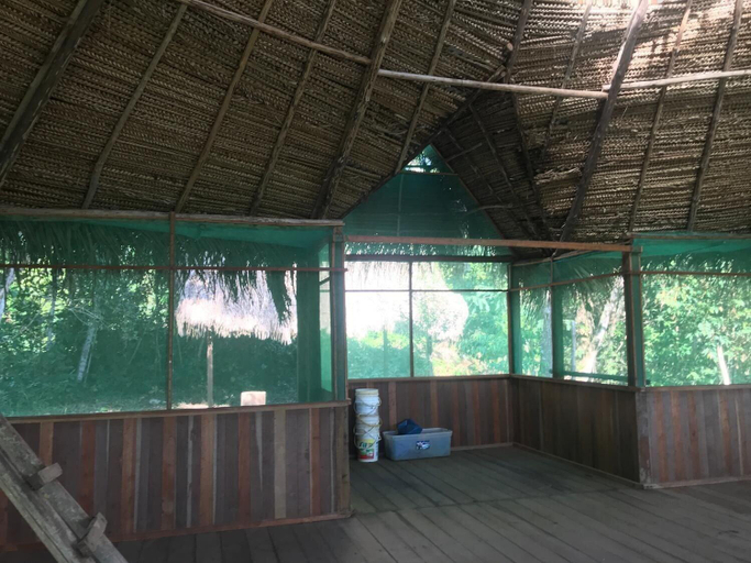 Others 5, Ayahuaska, San Martín