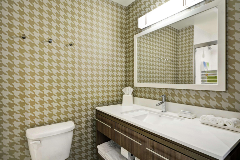 Bathroom 5, Home2 Suites By Hilton - Carbondale, Jackson