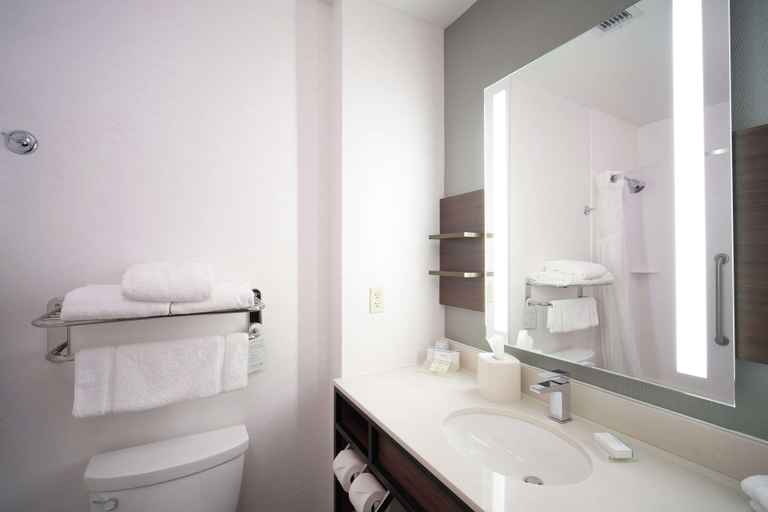 Bathroom 4, Hilton Garden Inn Evansville, Vanderburgh