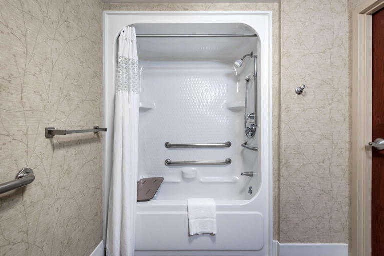 Bathroom 4, Hampton Inn Roanoke/Hollins - I-81, Roanoke