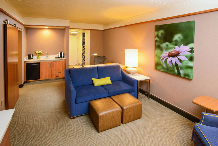 Public Area 2, Hilton Garden Inn Rochester Downtown, MN, Olmsted