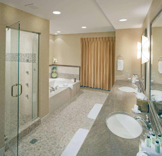 Bathroom, Embassy Suites by Hilton San Marcos Conference Cen, Hays