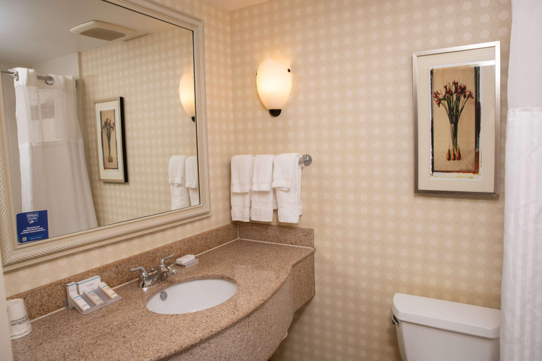 Bathroom 4, Hilton Garden Inn Erie, Erie