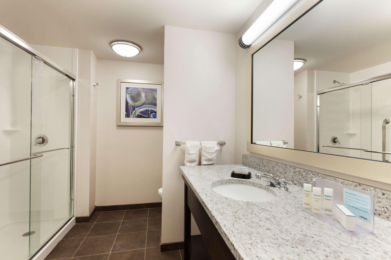 Bathroom 4, Hampton Inn & Suites Camp Springs/Andrews Afb, Prince George's