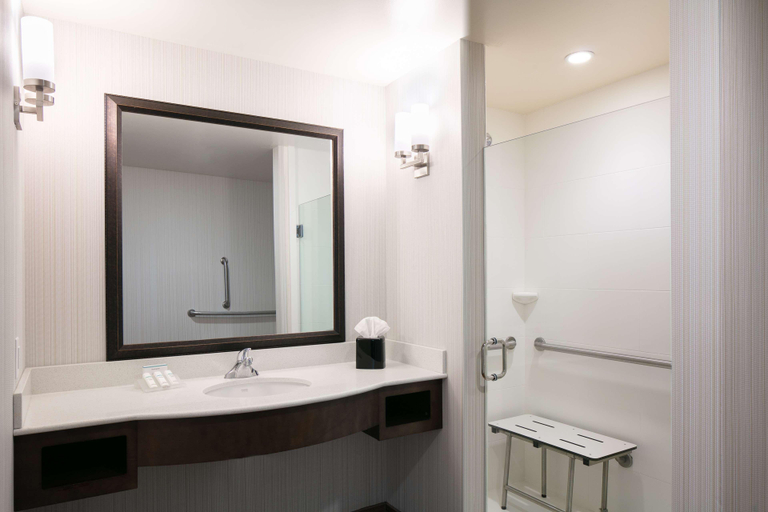 Bathroom 4, Hilton Garden Inn Bettendorf/ Quad Cities, Scott