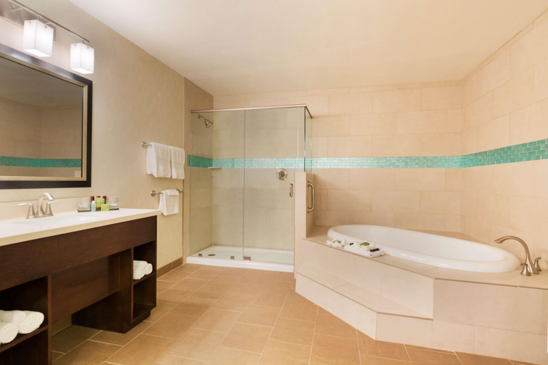 Bathroom 4, Embassy Suites Corpus Christi, Nueces