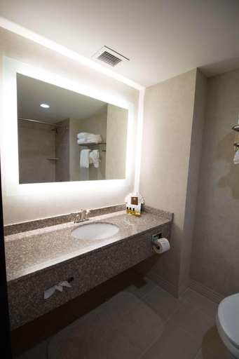 Bathroom 4, Best Western Plus Fairfield Executive Inn, Essex