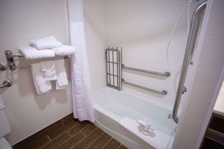 Bathroom 4, Hilton Garden Inn Temple Medical Center, Bell
