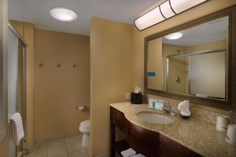 Bathroom 4, Hampton Inn & Suites Altus, Jackson