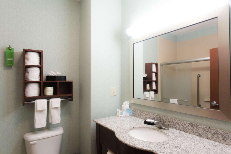 Bathroom 4, Hampton Inn & Suites Middlebury, Elkhart