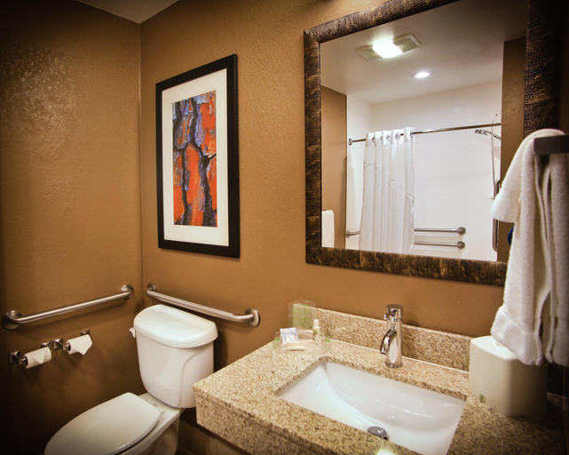 Bathroom 4, Hampton Inn Lacrosse/Onalaska , La Crosse