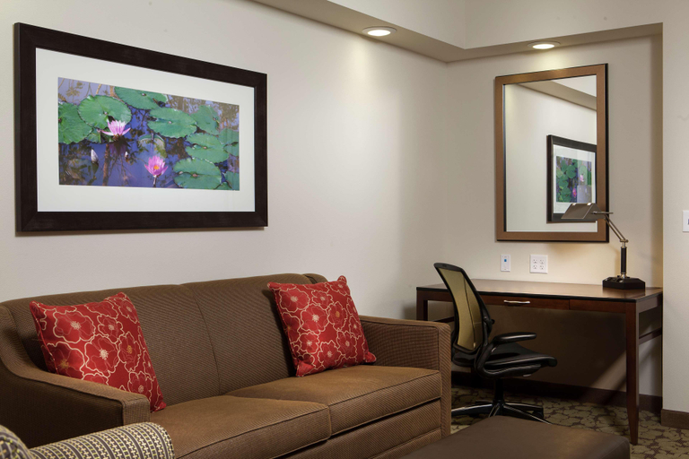 Public Area 2, Hilton Garden Inn Bettendorf/ Quad Cities, Scott