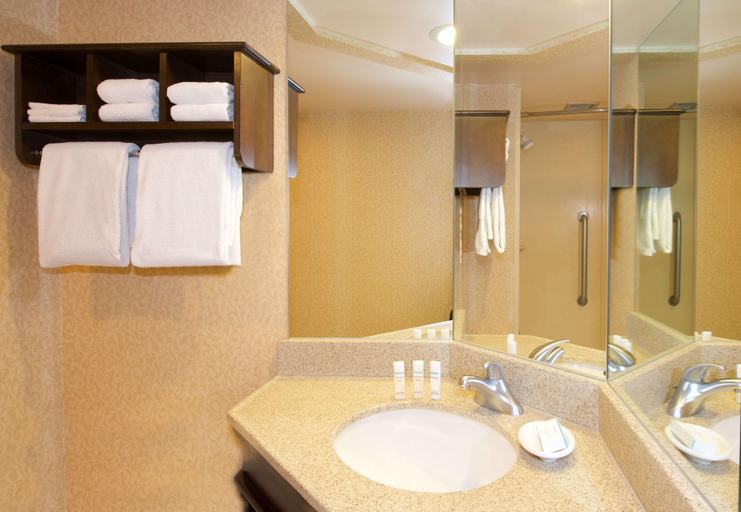 Bathroom 4, Hampton Inn Evansville, Vanderburgh