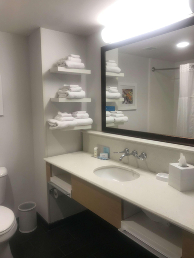 Bathroom 4, Hampton Inn & Suites Hershey Near The Park, Dauphin