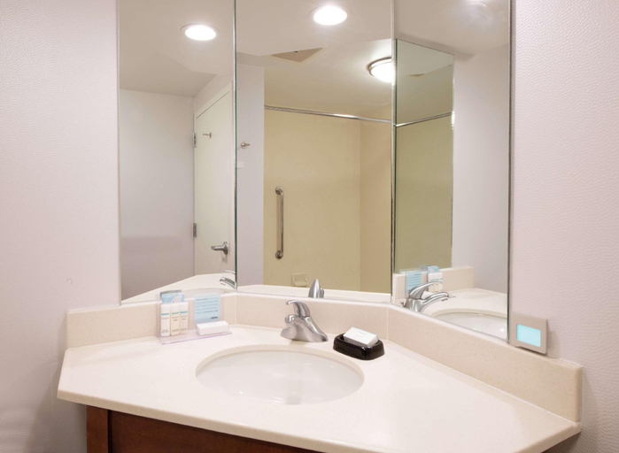 Bathroom 5, Hampton Inn & Suites Rochester/Victor, Ontario