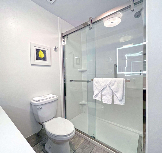 Bathroom 4, Hampton Inn Danville, KY, Boyle
