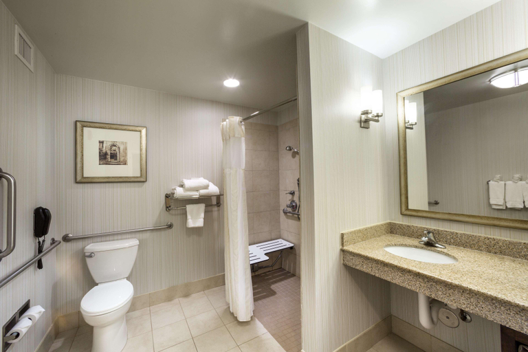 Bathroom 4, Hilton Garden Inn Hampton Coliseum Central, Hampton