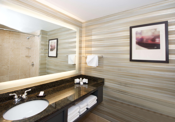 Bathroom 5, Embassy Suites Walnut Creek, Contra Costa