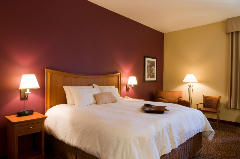 Bedroom 3, Hampton Inn Butte, Silver Bow