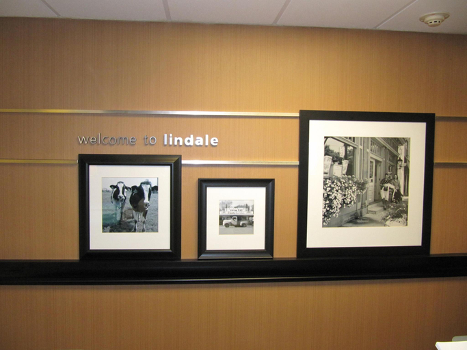 Public Area 2, Hampton Inn Lindale/Tyler, Smith