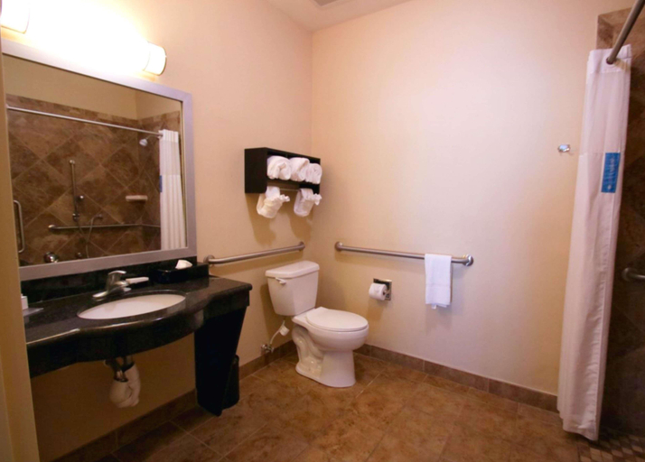 Bathroom 4, Hampton Inn & Suites Jacksonville Beach, Duval