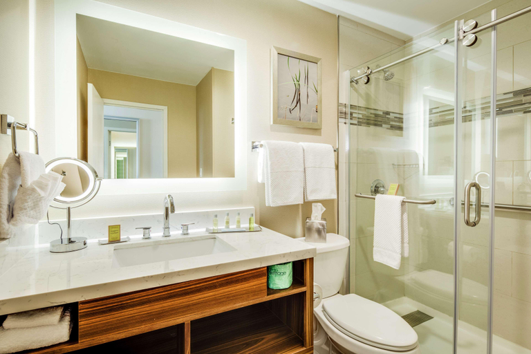 Bathroom 4, DoubleTree by Hilton Huntington, Cabell